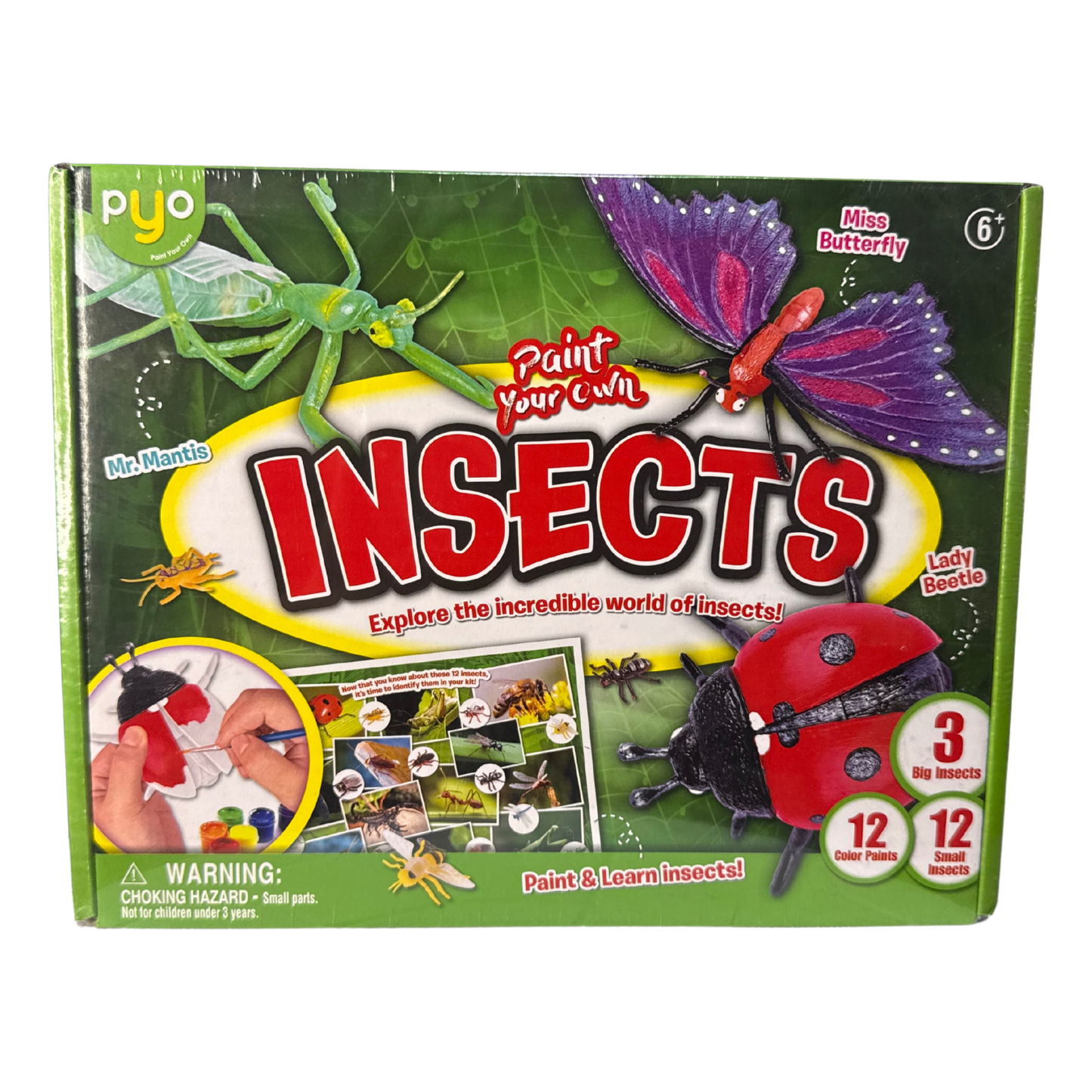 Paint Your Own Insects