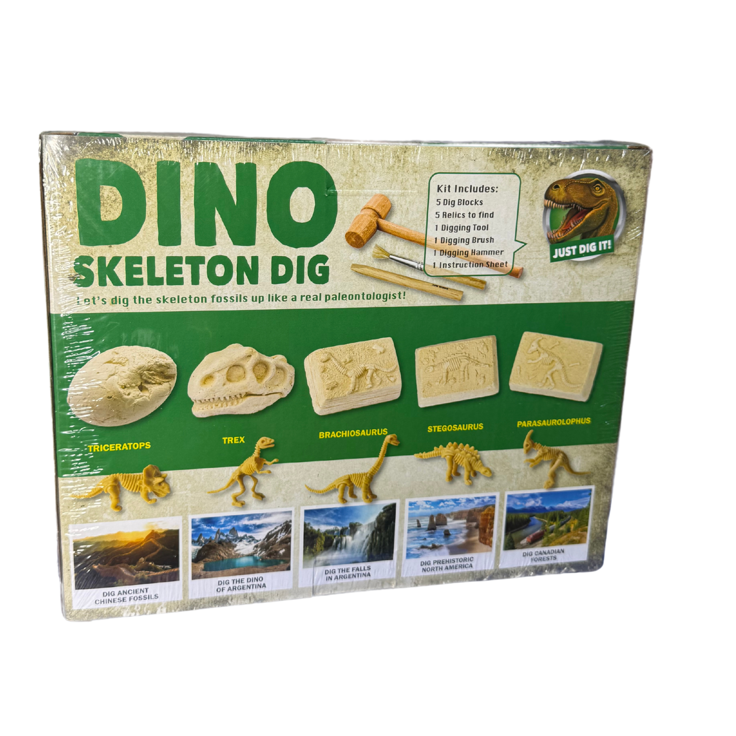 Dino Skeleton Dig – 5-in-1 Excavation Kit