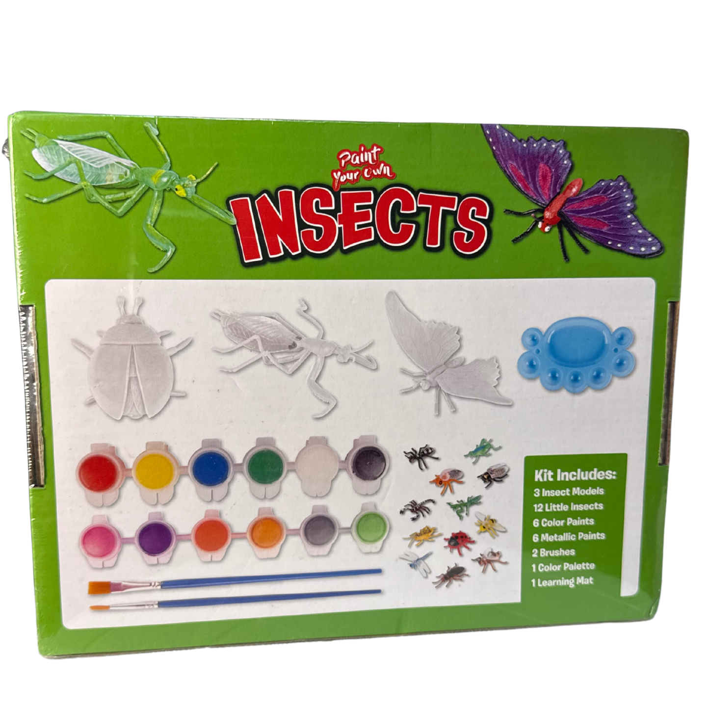 Paint Your Own Insects