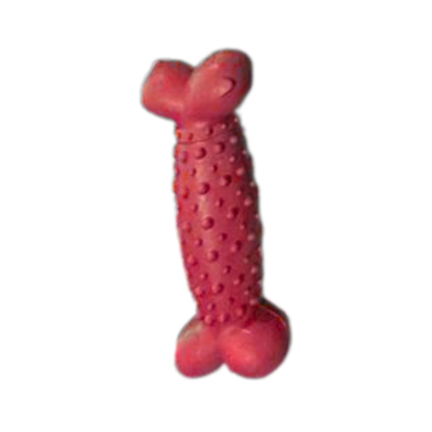 Durable Rubber Bone Chew Toy for Dogs