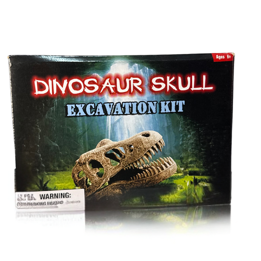 Dinosaur Skull Excavation Kit
