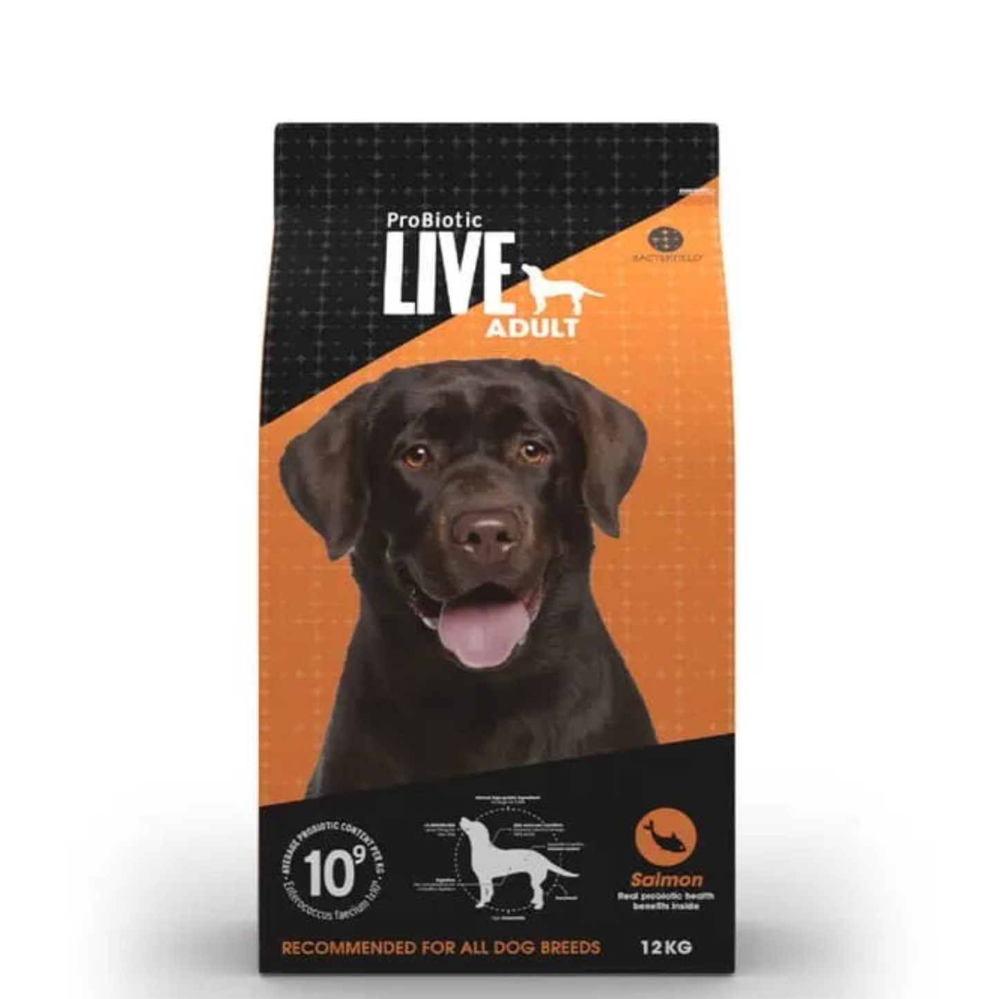 LIVE ProBiotic Adult Dog Food Salmon (12kg)