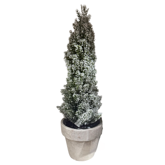 Snowy Mini Potted Christmas Tree – Winter Pine Tabletop Decoration