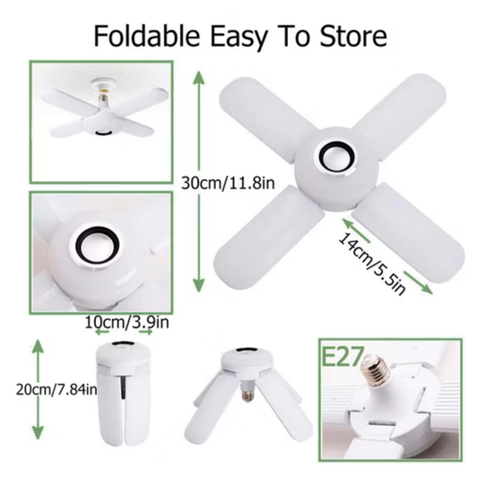 LED lights with speaker